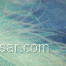 TaxoMi Logo